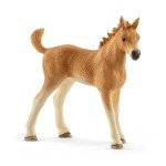 Schleich Horse Club - 9 PC Animal Care Figurine Playset with Horse Figure, Foal and Dog with Accessories - Imaginative Play Toys for Girls and Boys - Farm Animal Toy Set for Kids Ages 5+ | 42432