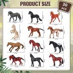 Jerify 30 Pcs Plastic Horse Figure Toy Set Mini Horse Toys Realistic Cake Toppers Plastic Model Toy for Birthday Party Decoration