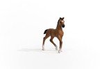 Schleich Horse Club Realistic Oldenburger Foal Baby Horse Figurine - Detailed Horse Toy, Durable for Education and Imaginative Play for Girls and Boys, Gift for Kids Ages 5+