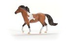 Schleich Horse Club New 2024 Horse Animal Toy Mangalarga Marchador Stallion Horse Figurine