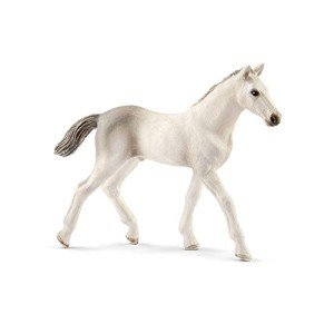 Schleich Horse Club, Horse Toys for Girls and Boys Holsteiner Foal Horse Figurine, Ages 5+
