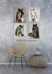 Horse Art Prints,Set of 4 Horse Prints,Horse Prints Set,Horse Portraits Wall Art,Vintage Horse Prints,Farm Animals Prints Set,Farmhouse Wall Art Set of 4,Farm Wall Decor,(8 x 10 Inch, Unframed)