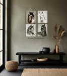 Horse Art Prints,Set of 4 Horse Prints,Horse Prints Set,Horse Portraits Wall Art,Vintage Horse Prints,Farm Animals Prints Set,Farmhouse Wall Art Set of 4,Farm Wall Decor,(8 x 10 Inch, Unframed)