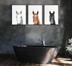 JJN 3Pcs Horse Wall Art Modern Animals Country Farm Animals Prints Posters Horse Portrait Canvas Painting Pictures for Home Farmhouse Bathroom Bedroom Living Room Unframed