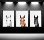 JJN 3Pcs Horse Wall Art Modern Animals Country Farm Animals Prints Posters Horse Portrait Canvas Painting Pictures for Home Farmhouse Bathroom Bedroom Living Room Unframed