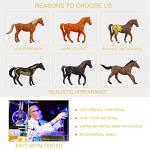 JOKFEICE Horse Figures 18PCS Plastic Miniature Animal Toys for Science Project, Learning Educational Toys, Cake Topper Birthday for Kids Toddlers