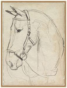 Amanti Art Framed Canvas Wall Art 30x23 Horse in Bridle Sketch II by Jennifer Paxton Parker, Framed Wall Art Canvas, Animals Artwork, Modern Contemporary Decor, Large Painting for Living Room, Bedroom