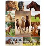 ABOXOBOG Horse Throw Blanket for Couch Bed 50" x 60" Soft Fleece Animal Theme Blankets Plush Cozy Throws for Horse Lovers