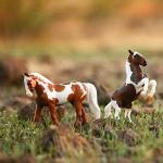 Breyer Horses Stablemates Pintos & Palominos Collection | 4 Horse Set | 1:32 Scale | 3.75" x 2.5" | Horse Toy | Model #6226