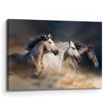 Animal Horse Canvas Wall Art: Galloping Horses Picture Farm Wildlife Photography Painting Print Equestrian Artwork Decor for Living Room Office Bedroom Home 36 x 24 Inch