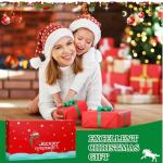 Jenaai 24 Pcs Horse Advent Calendar 2025 Christmas Countdown Calendar Holiday Collection 24 Days with Realistic Horse Figurines Farm Animal Xmas Gift and Surprise for Horses Lover