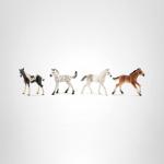 Schleich Horse Club - 4PC Foal Horse Toy Playset - with Pinto, Knabstrupper, Holsteiner and Mustang Figurine Horses for Girls and Boys - Realistic Farm Animal Figures for Kids Ages 5+ | 77586