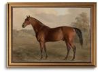 Gold Framed Wall Art Vintage Horse Canvas Art Farmhouse Animals Picture Wall Decor Antique Prints Rustic Paintings Country Artwork for Bedroom Bathroom Living Room 8x10 Inch