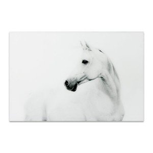Empire Art Direct White Horse 2 Frameless Tempered Glass Black and White Wall Art, 48" x 32" x 0.2", Ready to Hang