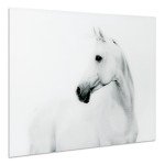 Empire Art Direct White Horse 2 Frameless Tempered Glass Black and White Wall Art, 48" x 32" x 0.2", Ready to Hang