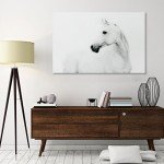 Empire Art Direct White Horse 2 Frameless Tempered Glass Black and White Wall Art, 48" x 32" x 0.2", Ready to Hang