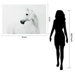 Empire Art Direct White Horse 2 Frameless Tempered Glass Black and White Wall Art, 48" x 32" x 0.2", Ready to Hang