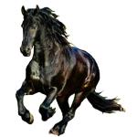 CafePress Black Stallion Horse Mug 11 oz (325 ml) Ceramic Coffee Mug