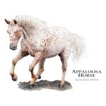 CafePress Appaloosa Horse Mug 11 oz (325 ml) Ceramic Coffee Mug