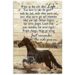Metal Tin Sign Vintage Horse The Ride Goes On Cowgirl Home Aluminum Sign Wall Decor Shed Garage Man Cave Kitchen 12 X 8 Inch