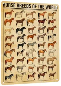 HYBLOM Horse Breeds Of The World Metal Tin Sign - Educational & Retro Farmhouse Wall Art, Vintage Poster for Man Cave, School, Cafe, Home Decor, Gift for Cowboy, 12x16 Inches