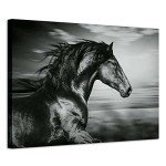 ARTISTIC PATH Horse Picture Animal Art Prints: Wild Black Stallion Graphic Artwork on Canvas for Walls (36" W x 24" H,Multi-Sized)