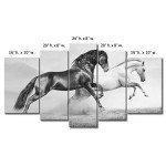 5 Panel Wall Art Black Friesian Running Horse Trot On The Field On Sunset Grass and Flower Painting Pictures Print On Canvas Animal The Picture for Home Modern Decoration Piece (B)