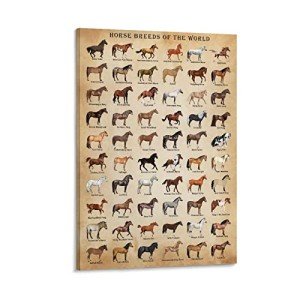 XNLKSI Horse Knowledge Horse Breeds of The World Poster Framed 12x16inch