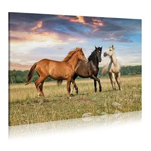 WALLSUP DECOR Animal Horses Wall Art Painting - Wildlife Canvas Picture Western Lovely Horse Playing Running on Grass Artwork for Bedrooms Hallway