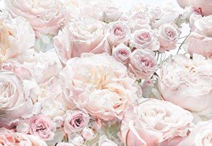 Komar 8-976 Spring Roses Wall Mural, Pink