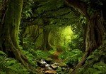 Bormia Fantasy Forest Wall Mural 151"x105" Large Photo Wallpaper Landscape Wall Decal for Livingroom Bedroom (Paste Not Included)