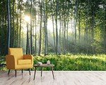 Reyhui Sunshine Forest Mural Wallpaper Landscape Tree Wallpaper Large Nature Scenery Wall Mural for Living Room (not self-Adhesive)