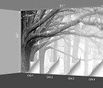 BZHXBZ - Beautiful Nature Grey Forest Wallpaper Big Tree Jungle Landscapes Bedroom Black and White Scenery murals Office Decor Living Room tv Background Large Wall Mural - 91"x65" Not Peel and Stick