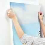 RoomMates JL1303M Cars Friends to The Finish XL Water Activated Spray and Stick Removable Wall Mural 6' X 10.5'