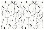 RoomMates RMK12210M Nikki Chu Off White and Charcoal Black Ivory Coast Peel and Stick Wall Mural