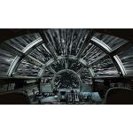 RoomMates RMK11458M Star Wars Millennium Falcon Peel and Stick Wallpaper Mural, 10.5 ft x 6 ft
