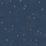 RoomMates RMK11319WP Upon A Star Navy and Metallic Peel and Stick Wallpaper