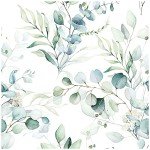 HAOKHOME Peel and Stick Wallpaper Boho Green/White Eucalyptus Leaf Floral Wall Mural Home Nursery Decor Renter Friendly Wallpaper 17.7in x 32.8ft