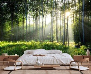 Wmjurel Sunshine in The Woods Mural, Large Jungle Mural, Suitable for Decorating Bedroom, Living Room, Bath Room Background Wall(Non-self-Adhesive)
