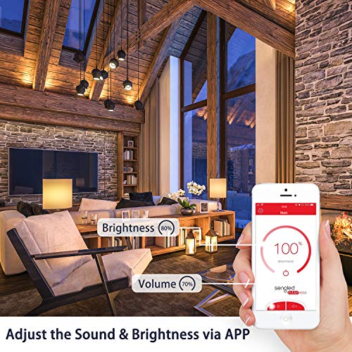 Sengled Solo Bluetooth Speaker Light Bulb with Alexa