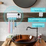 StarWin UV Toothbrush Cleaner with Timer and Wall Mount