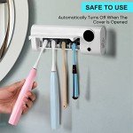 StarWin UV Toothbrush Cleaner with Timer and Wall Mount