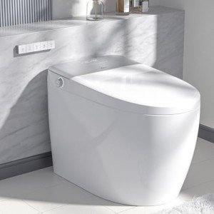 LEIVI Smart Toilet with Bidet and Remote Control