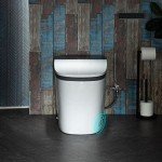 Woodbridge Smart Bidet Toilet with Auto Features