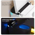 Voice-Controlled Smart Toilet with Heated Seat