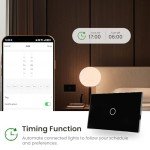 Smart Light Switch with Voice Control & Timer