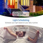 Smart Wi-Fi Light Switch with App Control