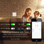 MOES WiFi Smart Light Switch with Remote Control