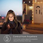 Kasa Outdoor Smart Plug with Wi-Fi and Alexa