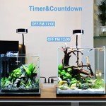 TESSAN WiFi Smart Power Strip with USB Ports